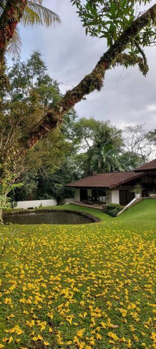 Berghaus - Casa Da Colina Villa Pomerode Exterior foto